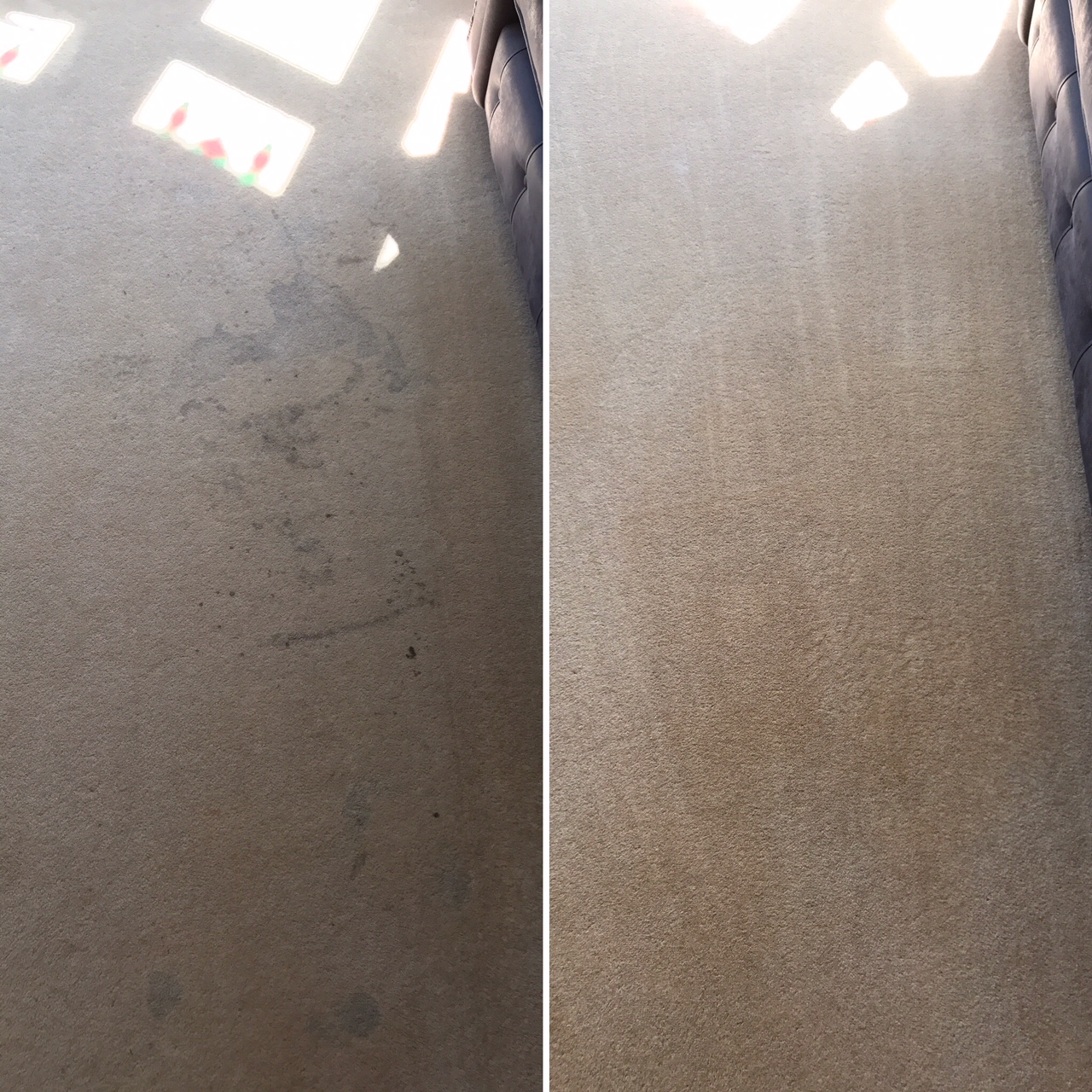 Carpet cleaning before and after