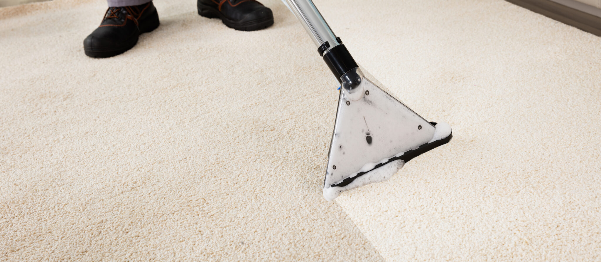 Steam cleaning for carpets фото 109